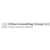 Ethos Consulting Group LLC
