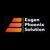 Eugen Phoenix Solution Ltd