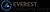 EVEREST Consulting Group