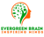 EVERGREEN BRAIN PRIVATE LIMITED