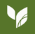 Evergreen Digital Marketing