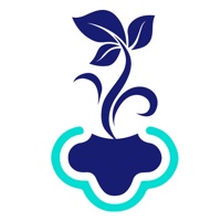EvergreenTech.io
