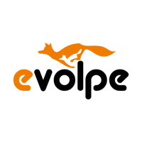 eVolpe Consulting Group