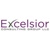Excelsior Consulting Group, LLC