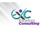 EXCELSIOR CONSULTING