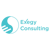 Exegy Consulting