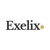 Exelix business consulting