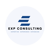 EXP CONSULTING LLP