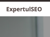 Expertul SEO