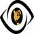 Eyes Everywhere IT Consulting