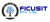 FICUSIT PTY LTD
