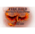 Firebird Business Consulting Ltd.