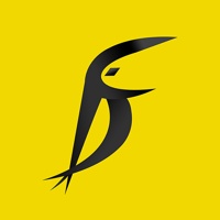 Firstcam Creative Studios