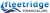 Fleetridge Financial, Inc.