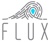 Flux Accounting