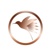 Follow the Hummingbird Consulting, PBC