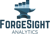 ForgeSight Analytics