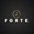 Forte A.Ş.