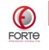Forte Innovation Consulting