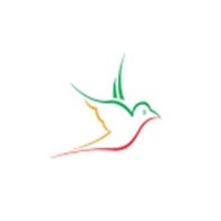 Freelance Web Designer
