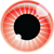 Freshmarkom - #1 Société de développement Web