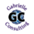 Gabrielle Consulting, Inc.