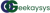 Geekaysys