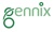 Gennix Consulting