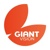 GIANT VISION