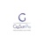 Gigsoft Pro