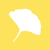 Ginkgo