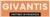 Givantis IT Services