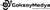 Göksoy Medya