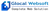 Glocal Websoft