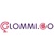 Glommico Visa Consultant