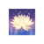 Goldlilys Media LLC