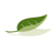 Greentree Realty, Inc