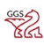 Griffin Global Systems, Inc.
