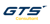 GTS Consultant India