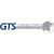GTS Consultants