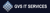 GVS IT Services