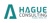 Hague Consulting