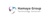 HamayaGroup LLC