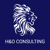 H&O Consulting