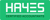 Hayes Accountants London