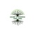 Higher Standards Tree Care Inc