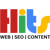 HITS Web SEO Write