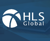HLS Global Co., Ltd