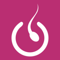 Human • creative + code