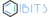 iBits LLC